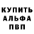 A PVP VHQ Salix Tulaev