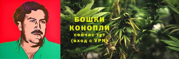 сатива Зеленокумск