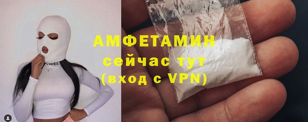 сатива Зеленокумск