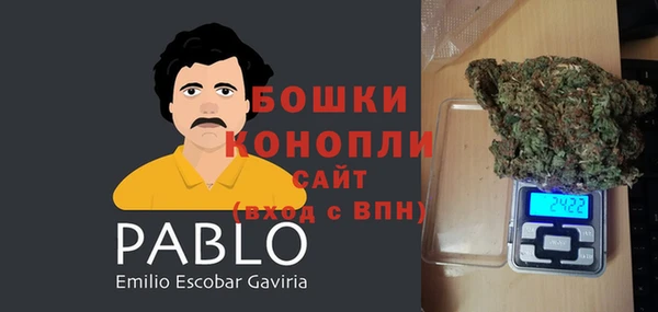сатива Зеленокумск