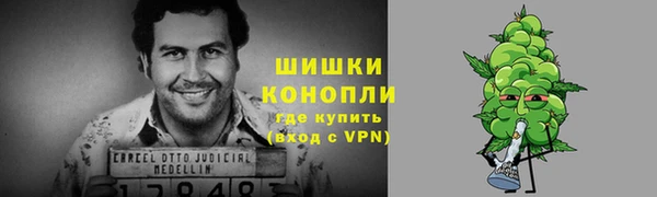 сатива Зеленокумск