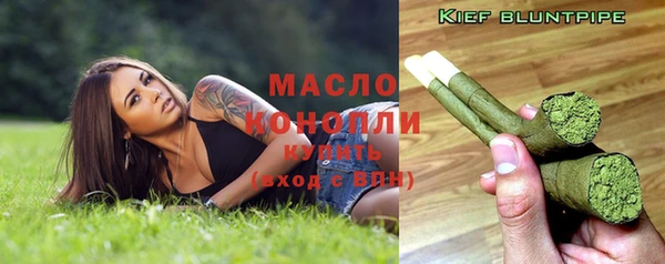 сатива Зеленокумск