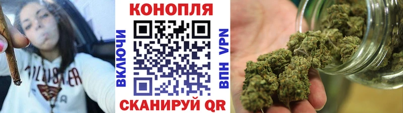 где найти наркотики  Западная Двина  Марихуана OG Kush 